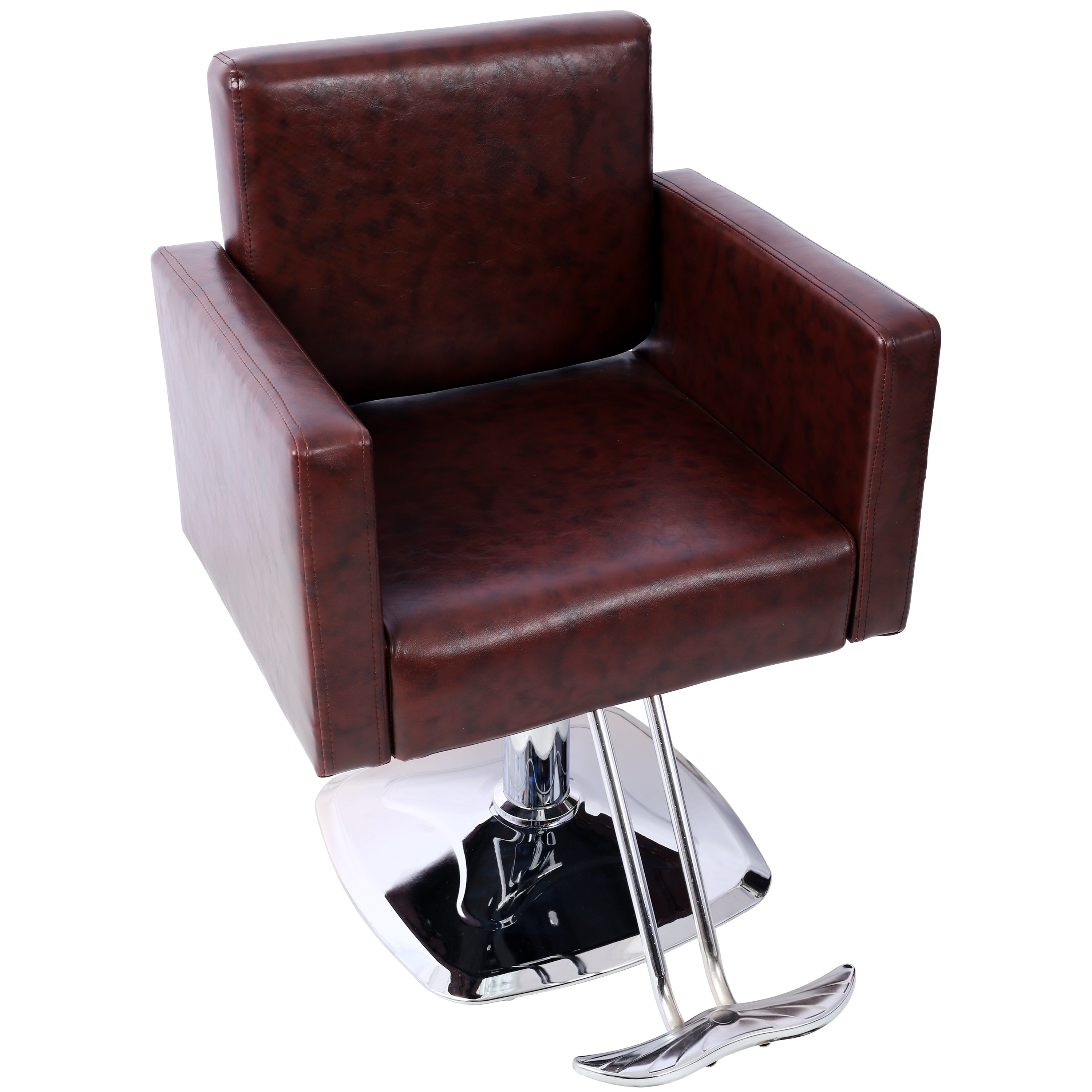 Salon Chair for Hair Stylist 360° Swivel with Heavy Duty Hydraulic Pump, Max Load Weight 330 lbs, Spa Beauty Equipment for Ba