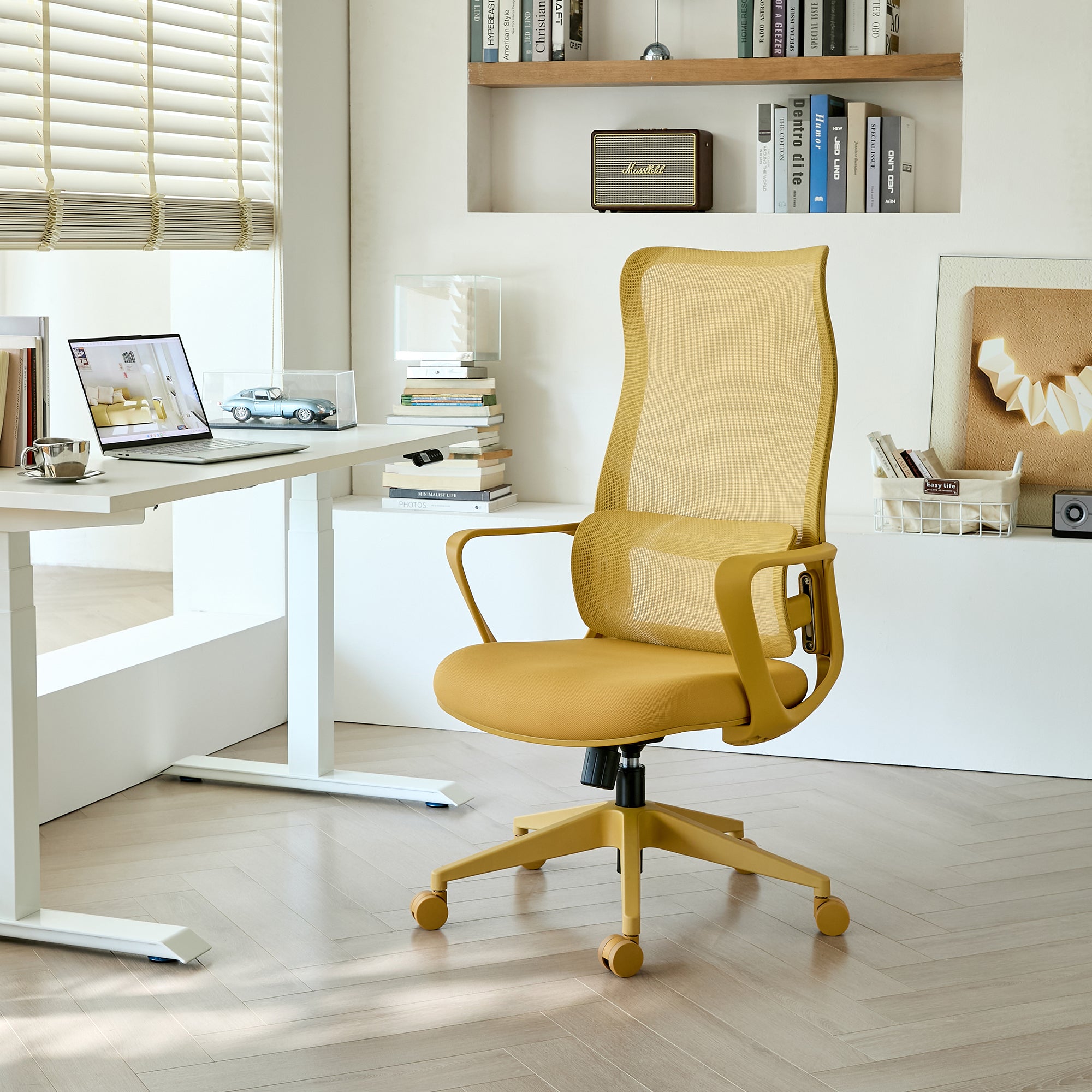 Ergonomic Colorful Office Chair 350LBS Home Office Mesh Breathable High Back, With Adjustable Lumbar Support Computer Chair, 