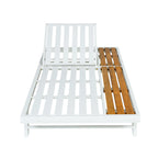25496002