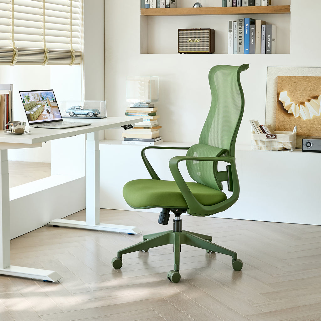 Ergonomic Colorful Office Chair 350LBS Home Office Mesh Breathable High Back, With Adjustable Lumbar Support Computer Chair, 