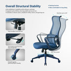 Ergonomic Colorful Office Chair 350LBS Home Office Mesh Breathable High Back, With Adjustable Lumbar Support Computer Chair, 