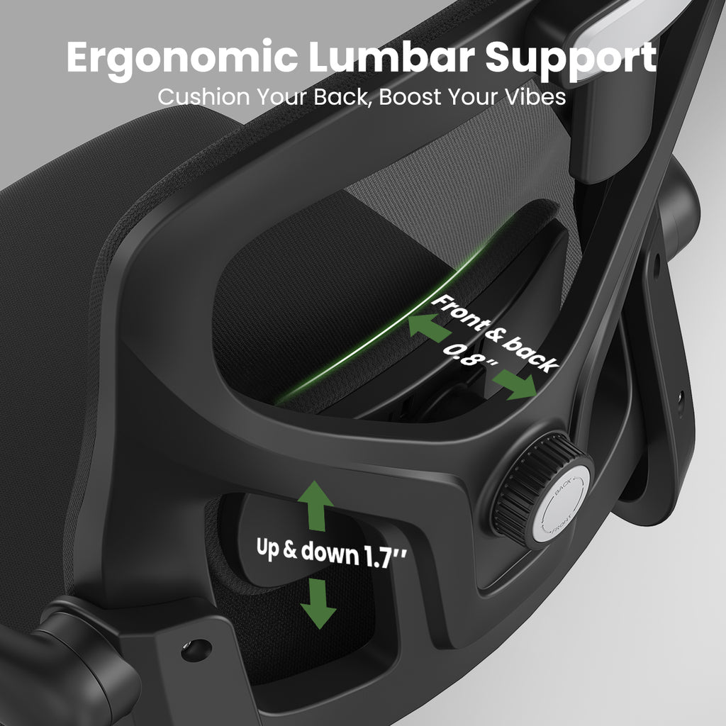 Ergonomic Office Chair, Home Office Desk Chair with Headrest, High Back Computer Chair with Armrests and Adjustable Lumbar Su