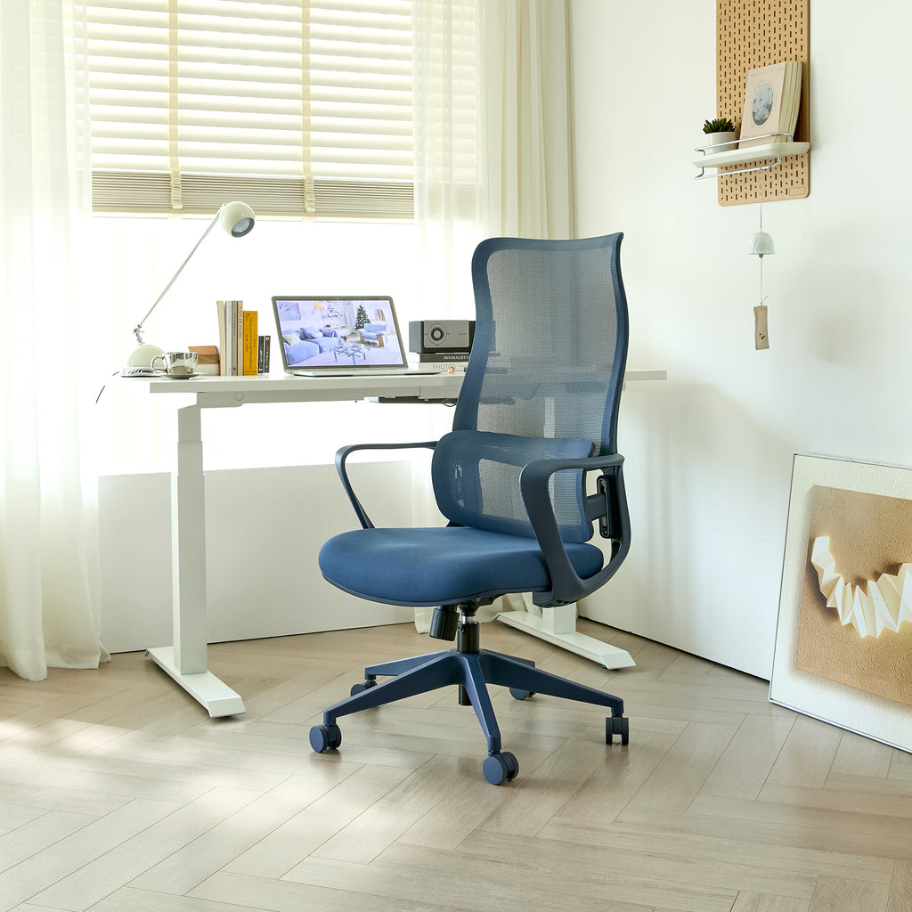 Ergonomic Colorful Office Chair 350LBS Home Office Mesh Breathable High Back, With Adjustable Lumbar Support Computer Chair, 