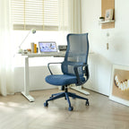 Ergonomic Colorful Office Chair 350LBS Home Office Mesh Breathable High Back, With Adjustable Lumbar Support Computer Chair, 