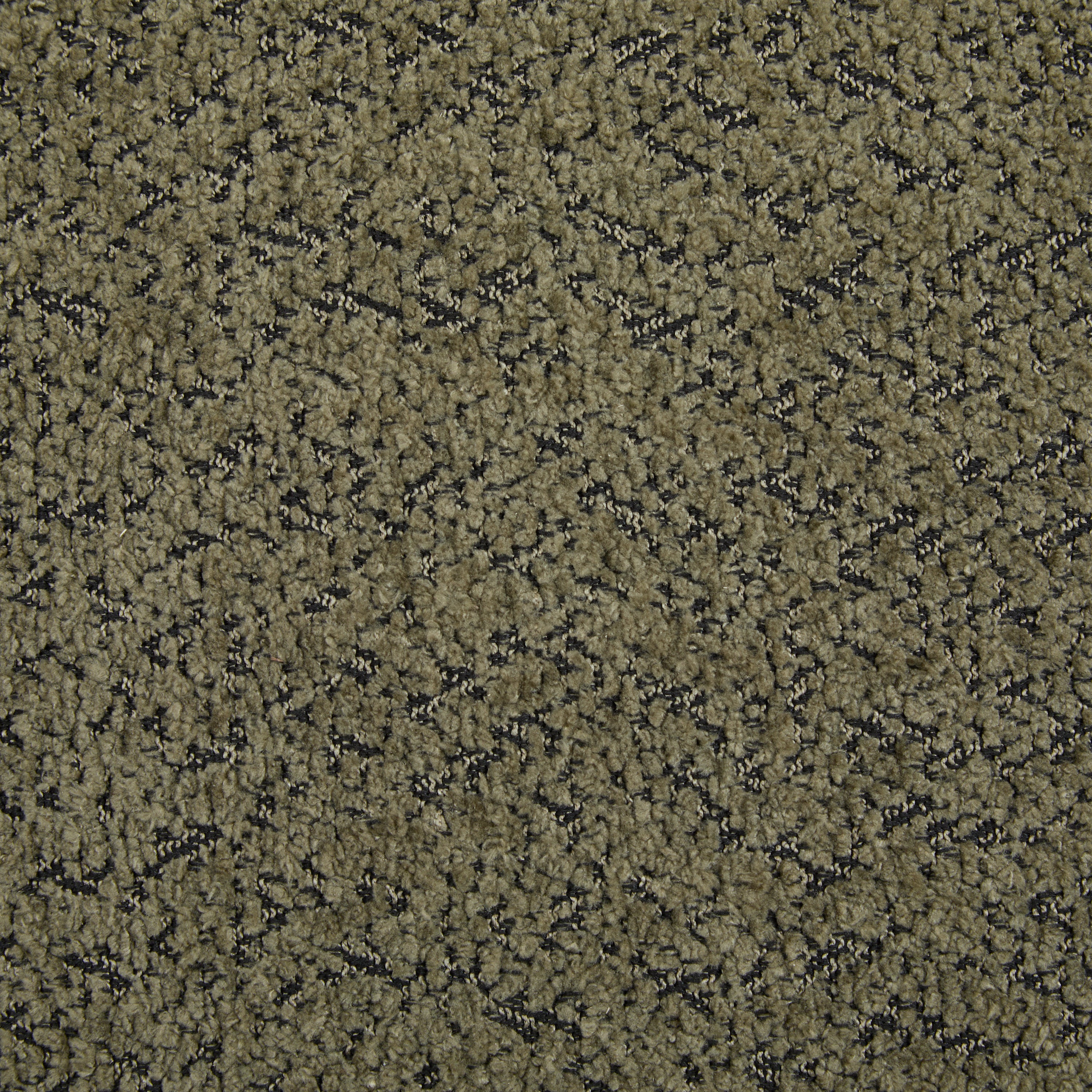 48.5' Upholstered Solid Loveseat (Walnut+Green) - Grand Goldman Shop
