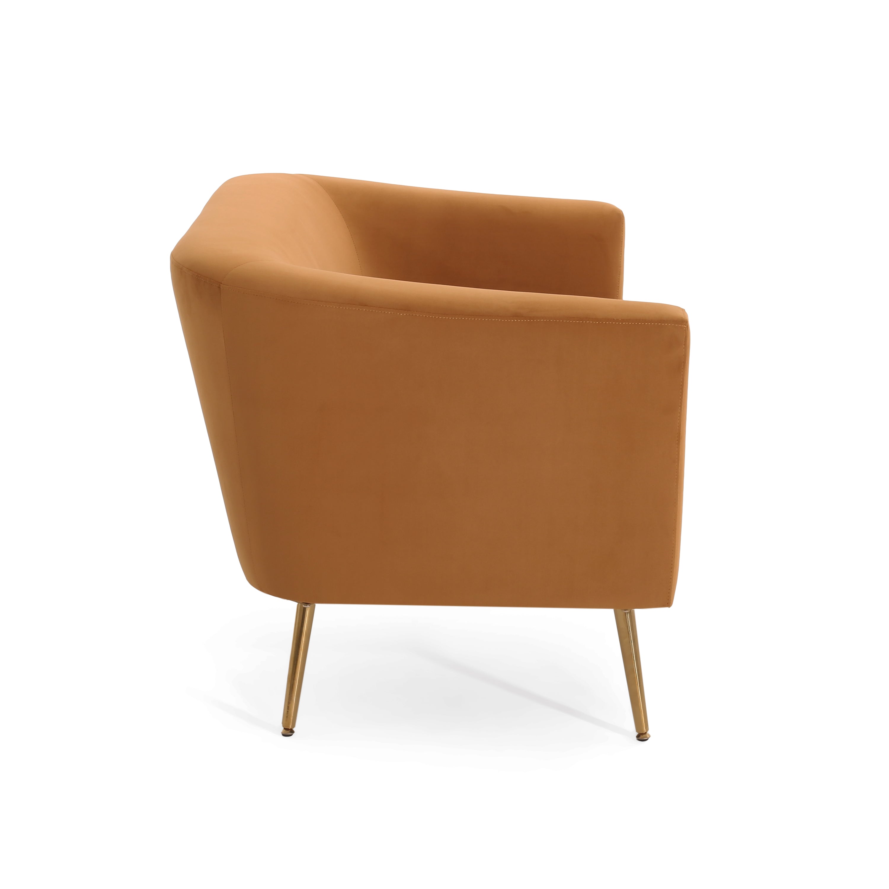 Modern Design Style Loveseat - Grand Goldman Shop