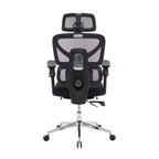 Ergonomic Home Office Desk Chair with Massage Lumbar Support,4D Headrest & 5D Armrests, Adjustable Back High and Seat Depth(B