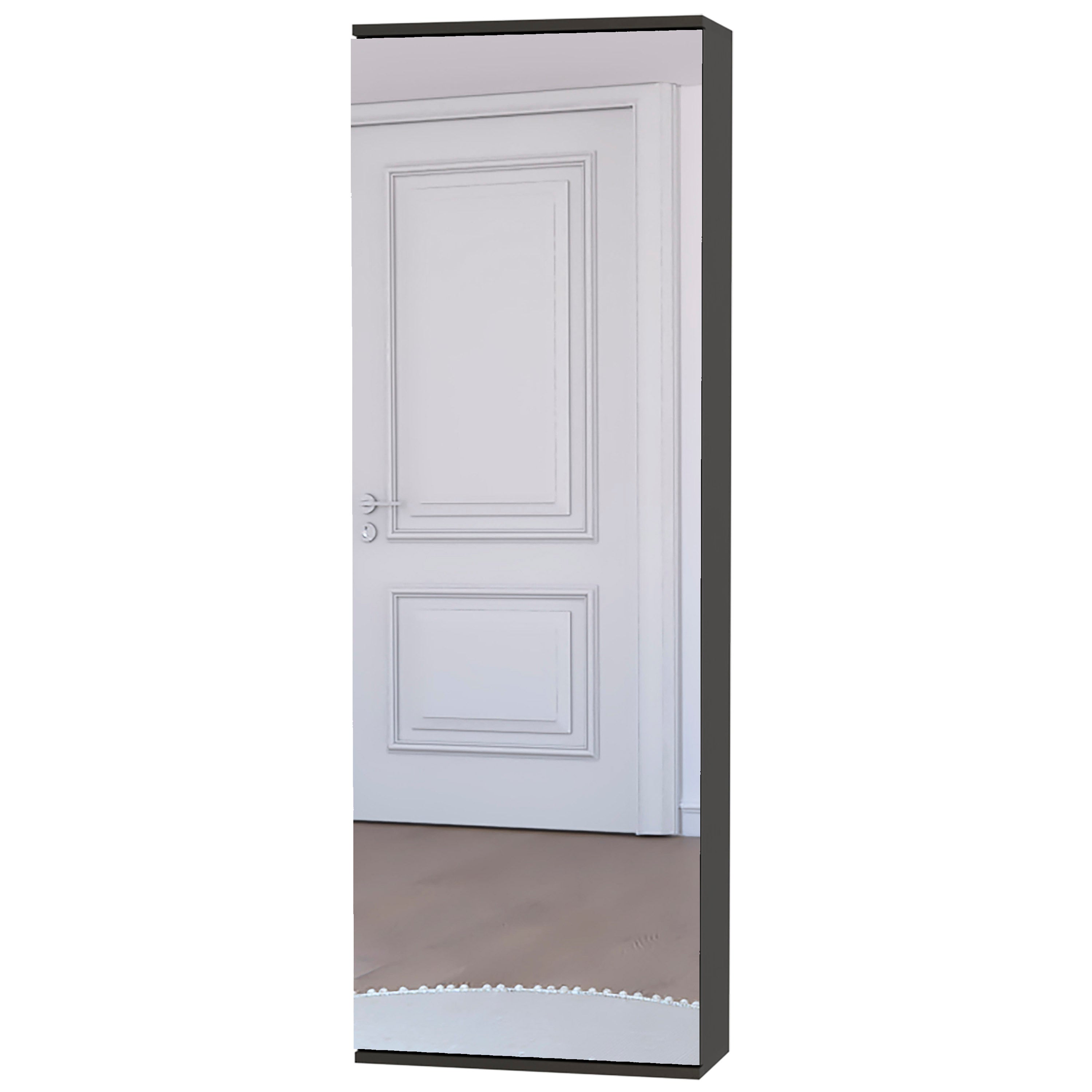 Wall Mounted Shoe Rack With Mirror Chimg, Single Door, Black Wengue Finish - Grand Goldman Shop