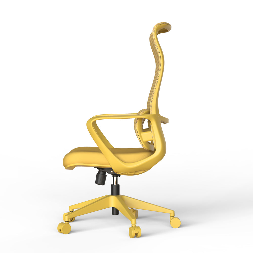 Ergonomic Colorful Office Chair 350LBS Home Office Mesh Breathable High Back, With Adjustable Lumbar Support Computer Chair, 