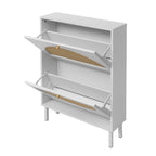 2 Door Shoe Rack, Rattan, Double Layer, Suitable for Living Room, Hallway - Grand Goldman Shop