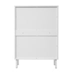 2 Door Shoe Rack, Rattan, Double Layer, Suitable for Living Room, Hallway - Grand Goldman Shop