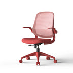Ergonomic Color Office Chair 350LBS, Home Office, Mesh Back, Integrated Molded Foam, Comfortable Sitting, Flipping Armrest, F